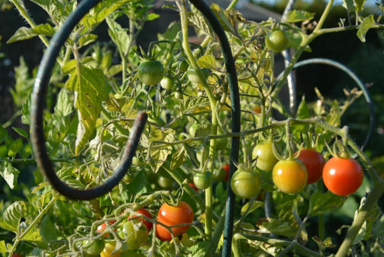 Les Jardins